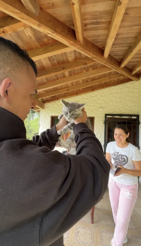 Gatito entregado a Diana Guerrero