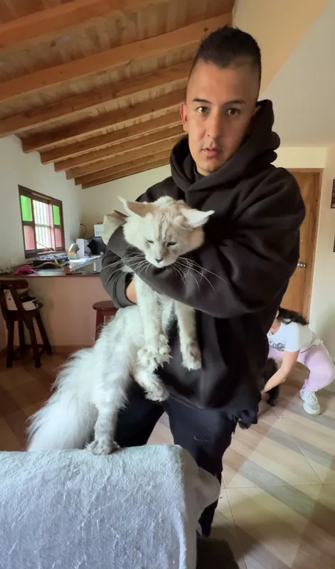 Gatito entregado a Sandra Pinzón