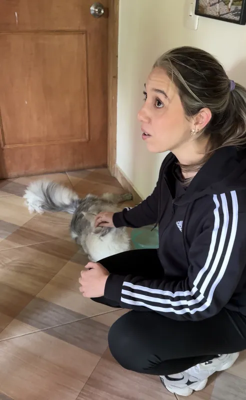 Gatito entregado a Laura y Camila